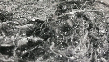 fibrous